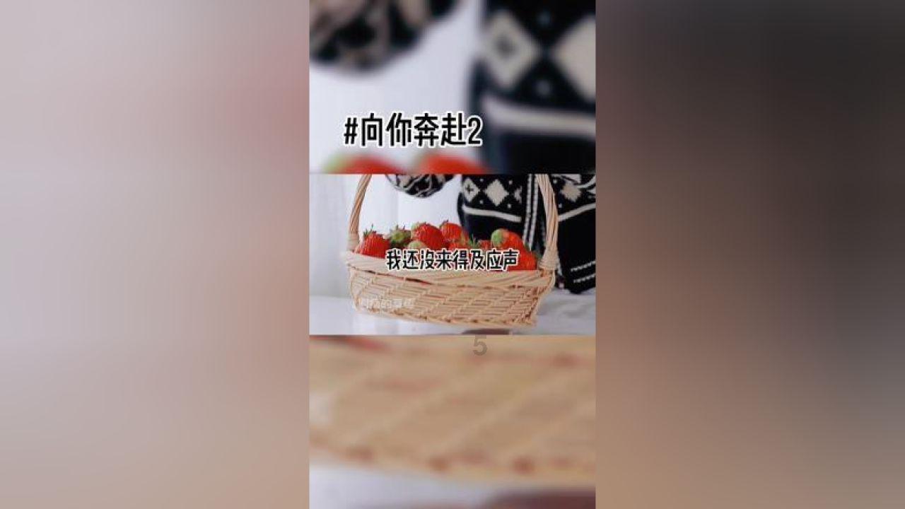 C/S 和 B/S 模式的区别与联系-专业有问必答平台